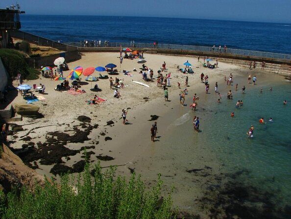 1.5 Hour Walking Tour from La Jolla in San Diego - Key things to know before you go