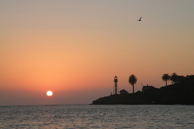 2.5-Hour Small-Group Catamaran Sunset Sail with Drinks - Who Should Book This Sunset Sail (and Who Might Skip It)