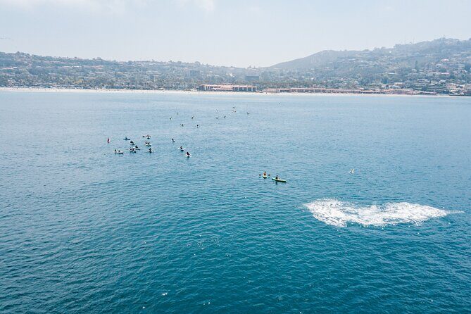 2 Hour Whale Watching Kayak Tour for Two - Gear, training, and the guides who keep things simple