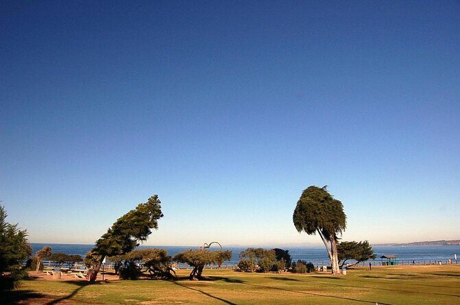A Seaside Stroll: La Jolla's Hidden Treasures Self-Guided Tour - Key highlights worth planning around