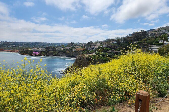 A Seaside Stroll: La Jolla's Hidden Treasures Self-Guided Tour - The best way to enjoy it (and avoid frustration)