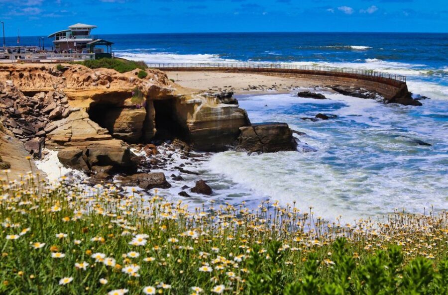 A Seaside Stroll: La Jolla's Hidden Treasures Walking Tour - Pacing and Flow: Why the App Works on a Shoreline