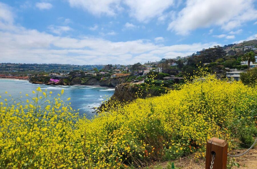 A Seaside Stroll: La Jolla's Hidden Treasures Walking Tour - Price and Value: Is $9 Reasonable for a 2-Hour Audio Tour?