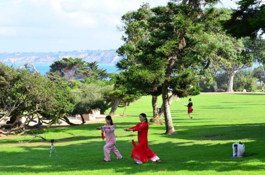 A Seaside Stroll: La Jolla's Hidden Treasures Walking Tour - Coast Walk Trail Views: La Jolla’s Best Setup for Photos