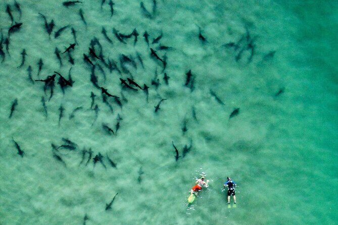 All Day Snorkel Package with Wetsuit Rental - Key points worth knowing before you go