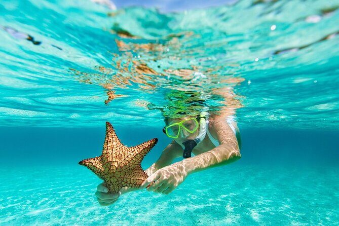 All Day Snorkel Package with Wetsuit Rental - What you’re really buying for $30: convenience value