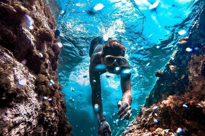 All Day Snorkel Package with Wetsuit Rental - What you’ll likely see: sea lions, sharks, and fish in shallow water