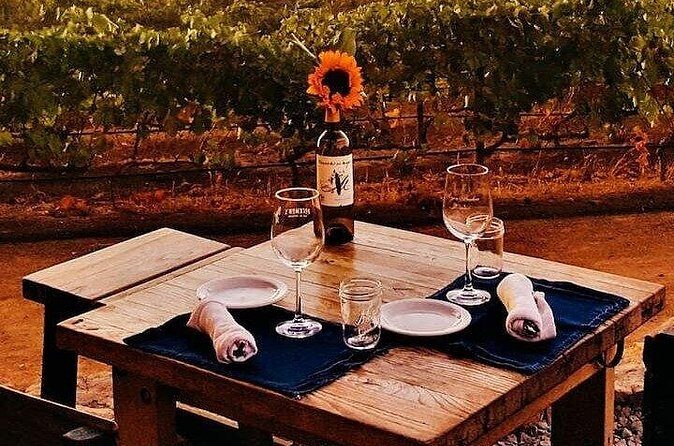 All-Inclusive Private Wine Tour in Baja - What $689 Per Person Really Buys You