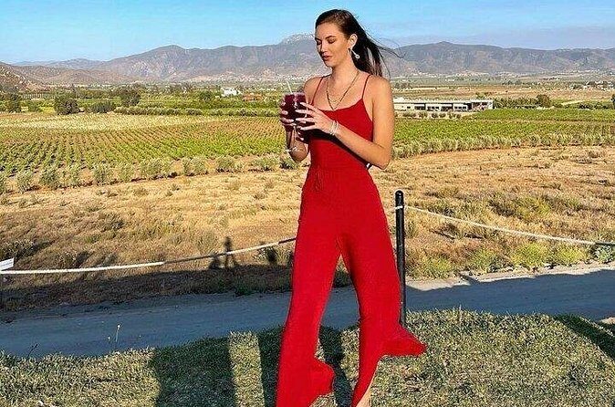 All-Inclusive Private Wine Tour in Baja - Group Size and Pace: A Private Tour That Doesn’t Feel Chaotic
