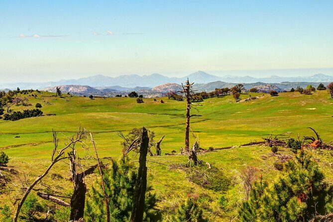 Apple Pies & Desert Skies: A Self-Guided Driving Tour - Santa Ysabel Mission: a calm stop from 1818