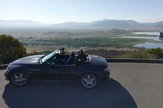 Apple Pies & Desert Skies: A Self-Guided Driving Tour - Anza-Borrego Visitor Center: decide on Borrego Palm Canyon and bighorn chances