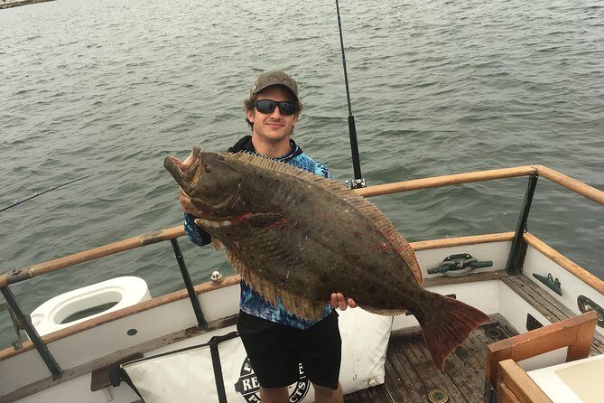Bay Fishing Charter - Stop 1: Port of San Diego and the Coronado Bay Bridge Fish-Spot