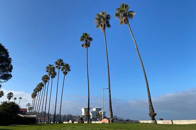 Beach Yoga in San Diego - Weather, Shoes, and What to Bring (Even When the Mat Is Covered)