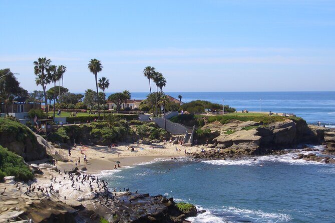Beaches & Bluffs San Diego's Ultimate Coastal Driving Tour - Right by the water: Birch Aquarium as a “maybe” stop