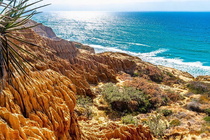 Beaches & Bluffs San Diego's Ultimate Coastal Driving Tour - Price and what $11.99 per group really buys you