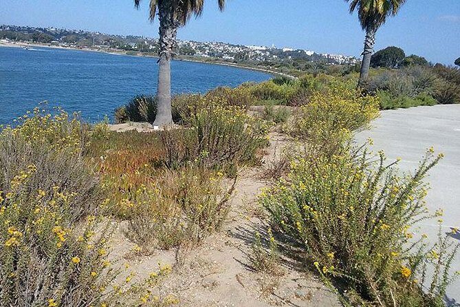 Bike Around San Diego Bay to the Ocean - Timing and What 2–3 Hours Feels Like