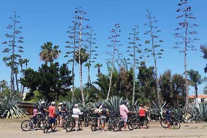 Cali Dreaming Electric Bike Tour of La Jolla and Pacific Beach - The e-bike orientation: how you feel comfortable quickly