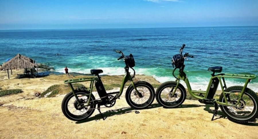 Cali Dreaming Electric Bike Tour of La Jolla & Pacific Beach - La Jolla Cove: Sea Lions, the Underwater Park, and Why This Place Feels Famous