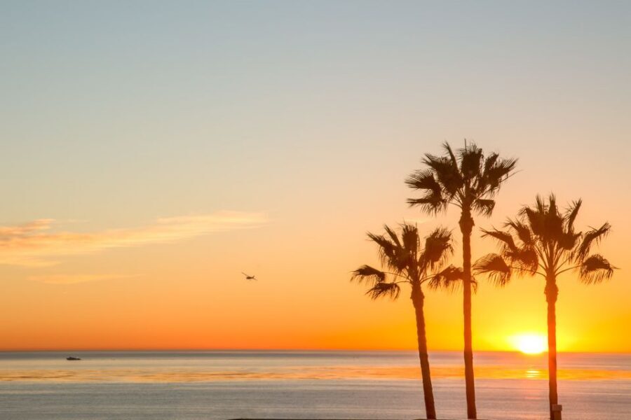 California Sunset Brewery Tour - A 4.5-hour San Diego route built for beer and views