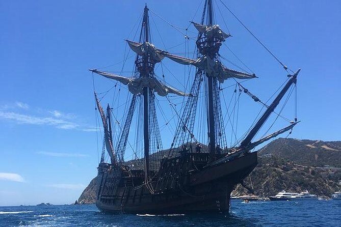 Catamaran Sailing Cruise on San Diego Bay for up to 6 Guests - What you’ll actually see from the bay: skyline views and calm water time