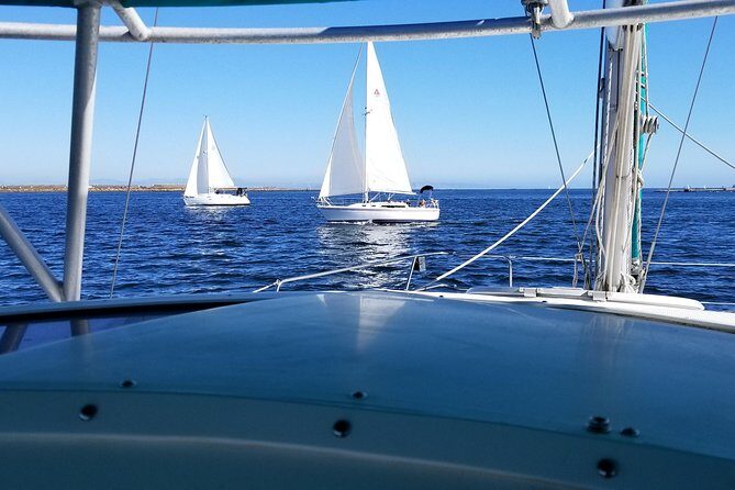 Catamaran Sailing Cruise on San Diego Bay for up to 6 Guests - Price and value: $750 for up to 6 people