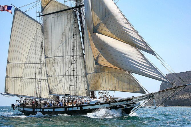 Catamaran Sailing Cruise on San Diego Bay for up to 6 Guests - Should you book this San Diego Bay catamaran cruise?