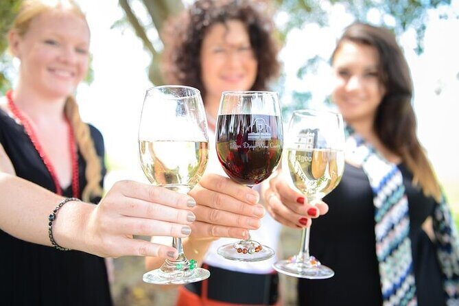 Chauffeured Adventure to Local San Diego Vineyards - Key Highlights You’ll Actually Care About