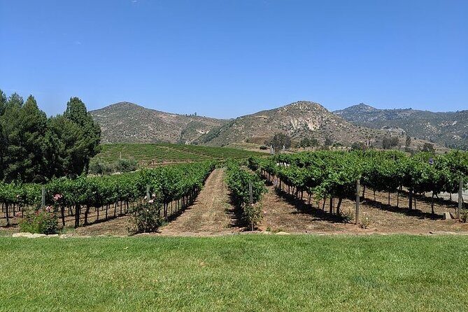 Chauffeured Adventure to Local San Diego Vineyards - Hotel Pickup and the Comfort Factor (Especially for Solo Travelers)