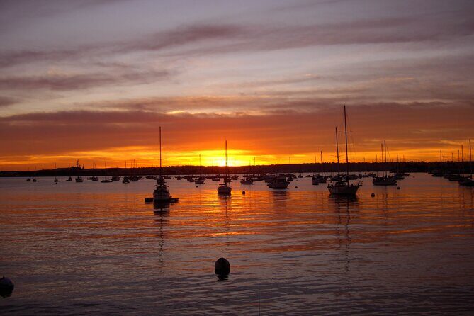 Coronado Bike Tour - Key Highlights You’ll Notice Right Away