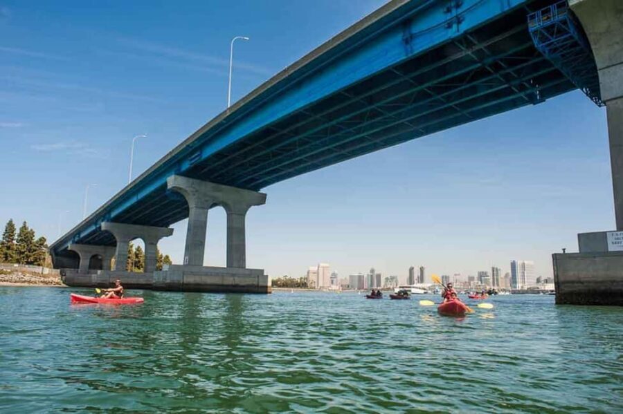 Coronado Guided Kayak Tour 90-Min - What It’s Like in Real Life: Wet Feet, Warm Sun, Simple Planning