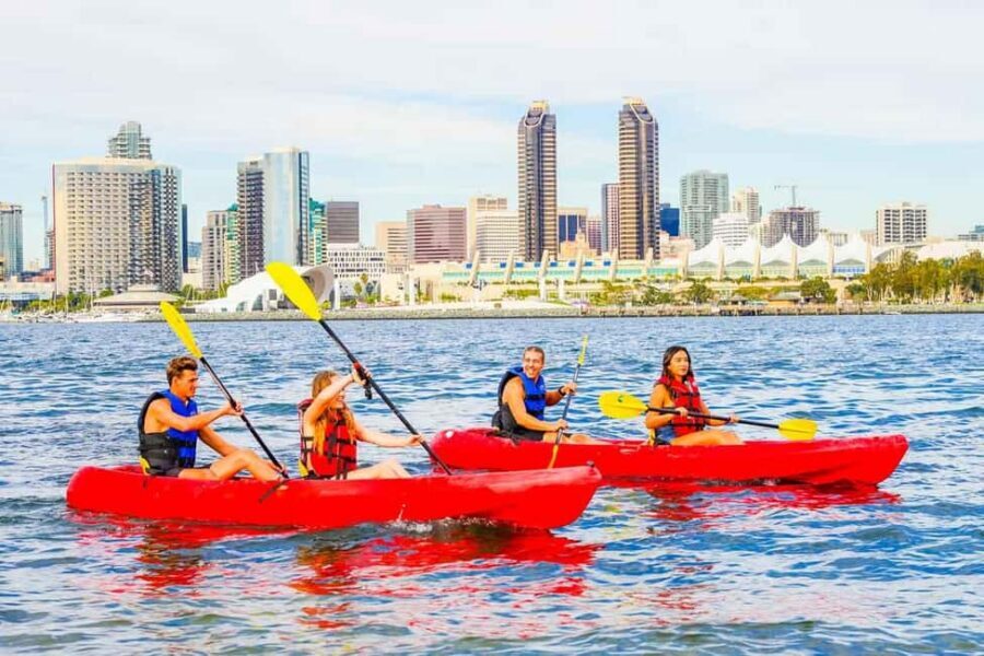 Coronado Guided Kayak Tour 90-Min - The Gear Setup: What’s Included and Why It Helps