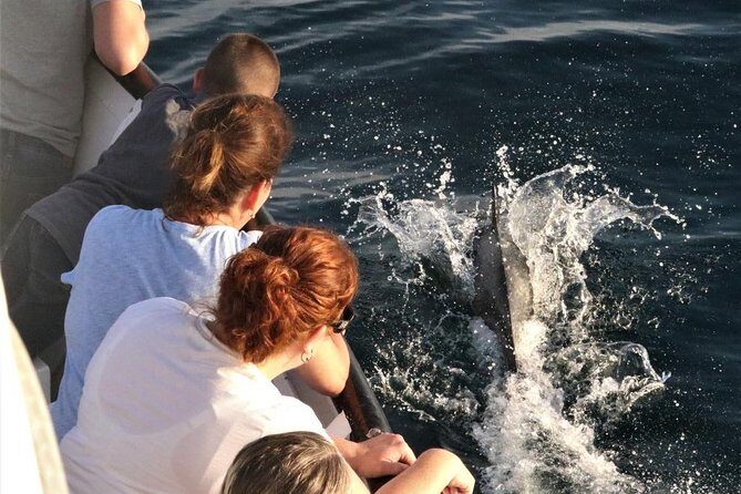 Dolphin and Whale Watching Sunset Cruise - Sunset views: how to plan for wind, chill, and comfort
