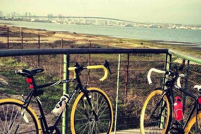 eBike Tours on Coronado - Stop at Hotel del Coronado: a landmark break that fits the pace