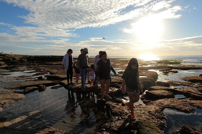 Explore San Diego Tide Pools with a Marine Biologist - Key highlights before you go