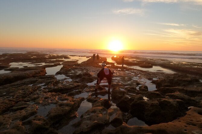 Explore San Diego Tide Pools with a Marine Biologist - Why La Jolla tide pools make such a good “in-the-field” visit