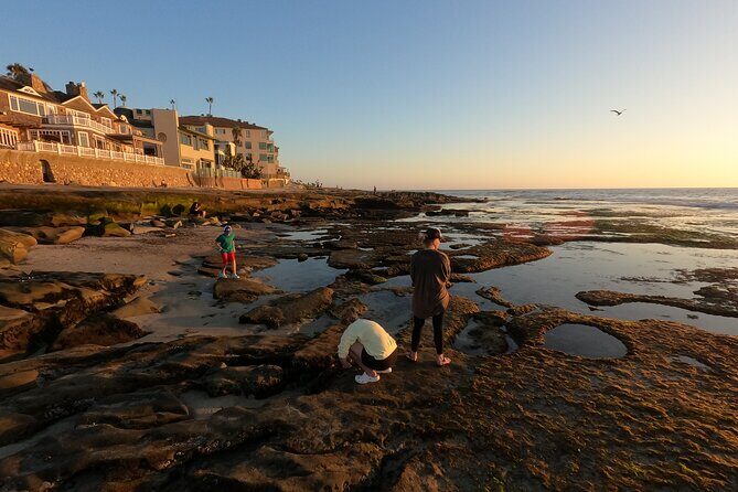 Explore San Diego Tide Pools with a Marine Biologist - What you’ll learn: reading the tide pool like a mini ecosystem