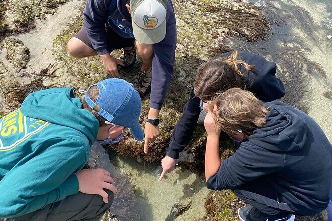 Explore San Diego Tide Pools with a Marine Biologist - What to wear on wet sandstone (and why footwear is non-negotiable)