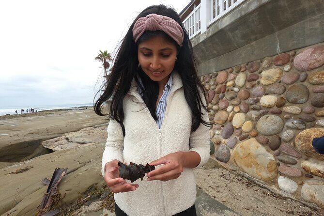 Explore San Diego Tide Pools with a Marine Biologist - Kids, adults, and mixed groups: why this works for families