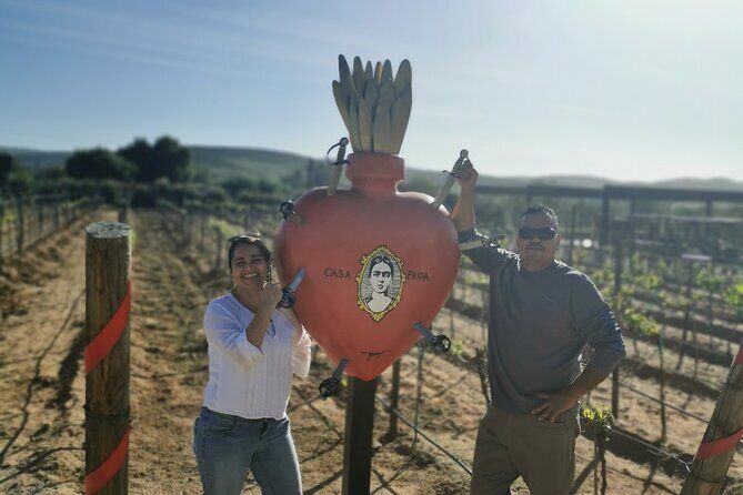 Grand Mexico Wine Country Tour from San Diego - San Ysidro to Valle de Guadalupe: how the day flows