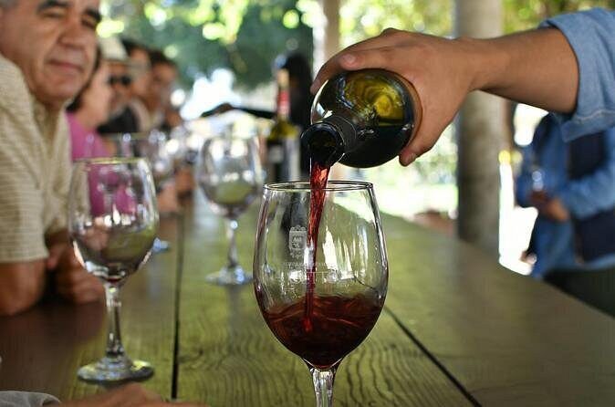 Grand Mexico Wine Country Tour from San Diego - Should you book this Grand Mexico Wine Country Tour?