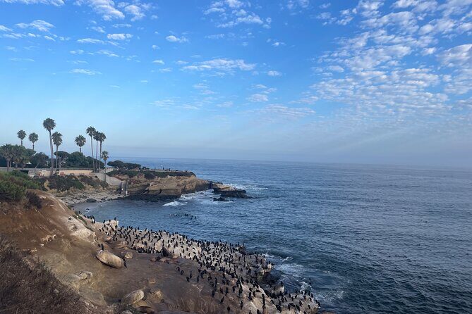 Guided Historic La Jolla Village Walking Tour - Price and Value: Is $59 a Good Deal?