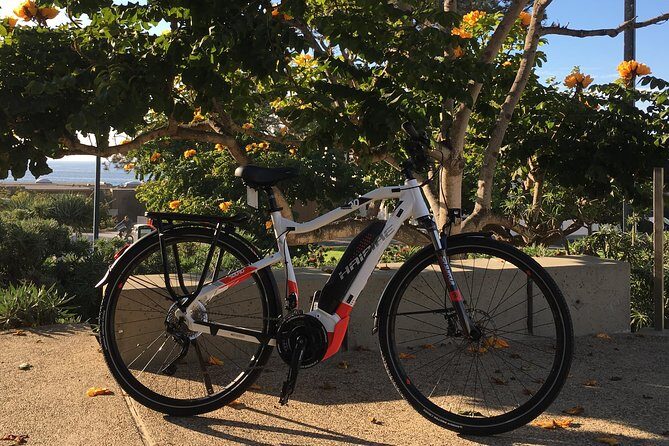 Half Day Performance eBike Rental - Price and Value: Is $65 Worth It?