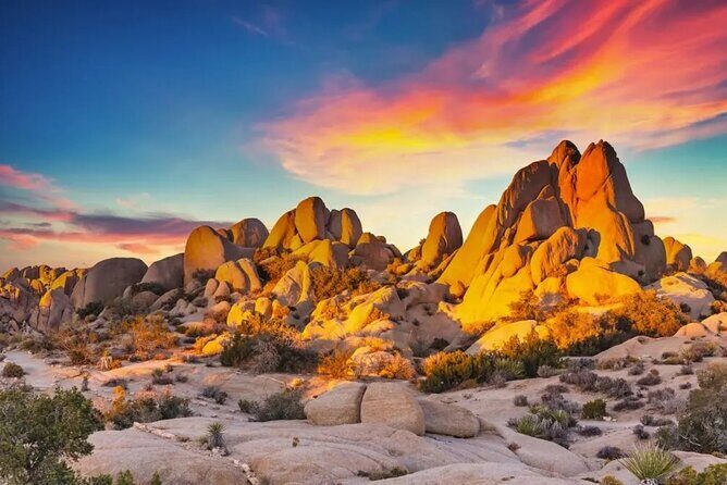 Joshua Tree NP Tour from San Diego (Private) - Who this private Joshua Tree tour is best for