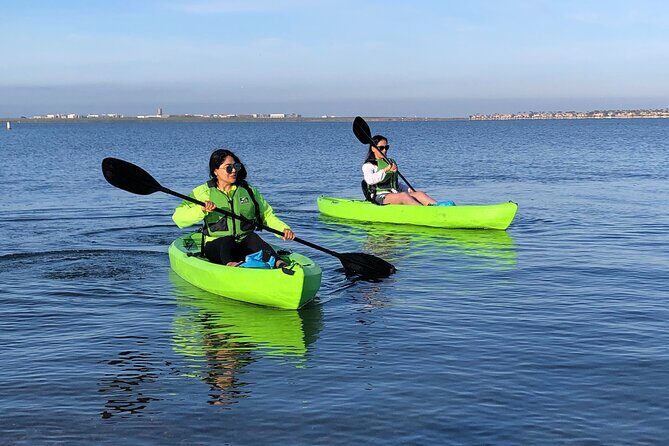 Kayak on the San Diego Bay - Eco-friendly water time: a low-impact way to see the shoreline