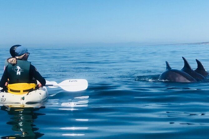 Kayak Rental for Two People in La Jolla - What you’re actually doing for 90 minutes