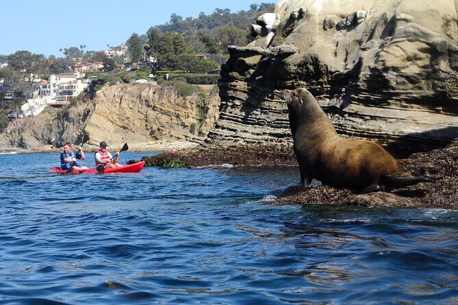 Kayak Tour of the 7 Caves - The big expectation question: are you guaranteed to enter all 7 caves?