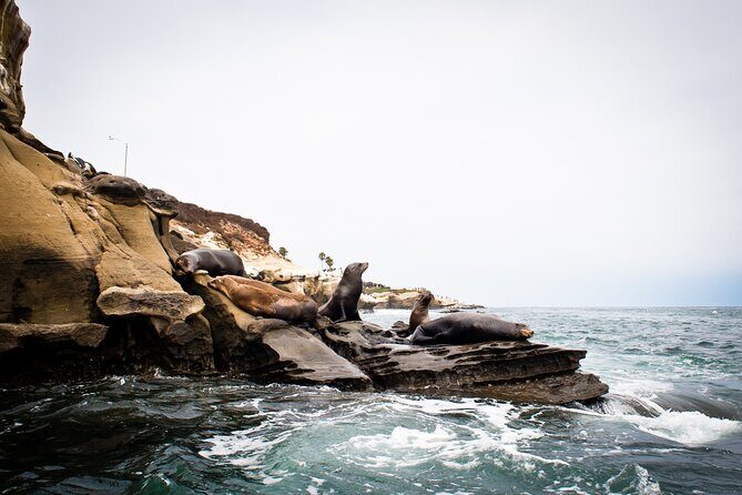 Kayak Tour of the 7 Caves - Price and value: is $76 per group worth it?