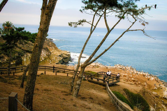La Jolla Electric Bike Tour - Why La Jolla Feels Perfect by E-Bike