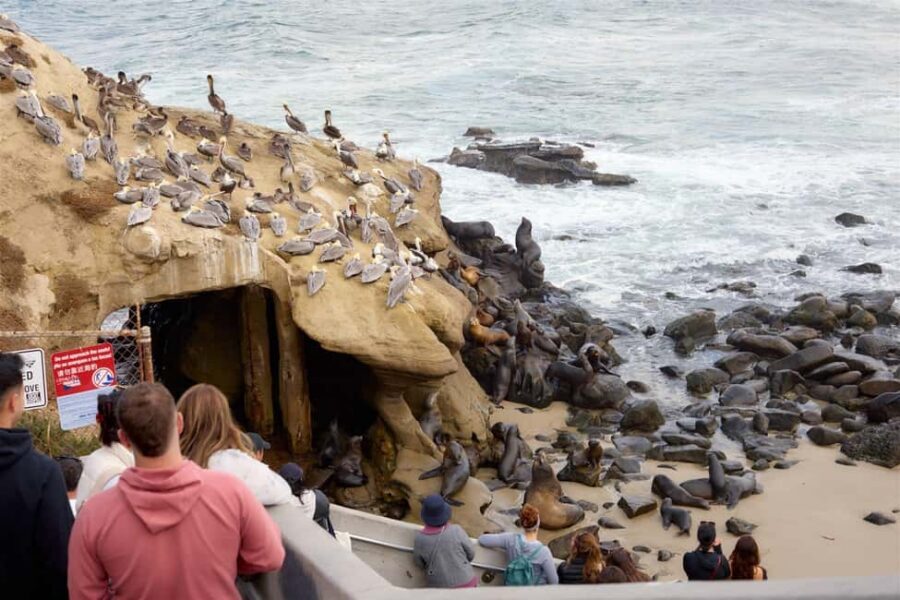 La Jolla Food & Drink Walking Tour - Sip, Savor & Sea - Who this tour fits best (and who might skip it)