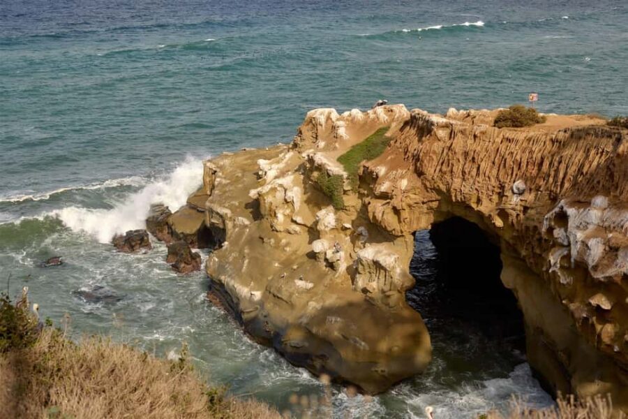La Jolla Food & Drink Walking Tour - Sip, Savor & Sea - Arriving at La Jolla Cove: sea lions, views, and the final guided moment
